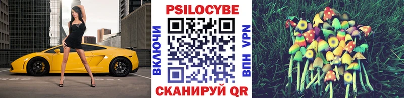 дарк нет наркотические препараты  Северодвинск  Псилоцибиновые грибы мицелий  наркошоп 