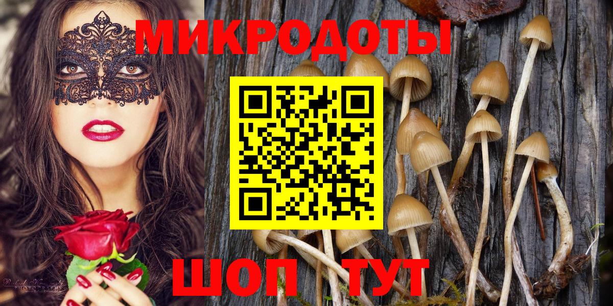 Псилоцибиновые грибы ЛСД Северодвинск