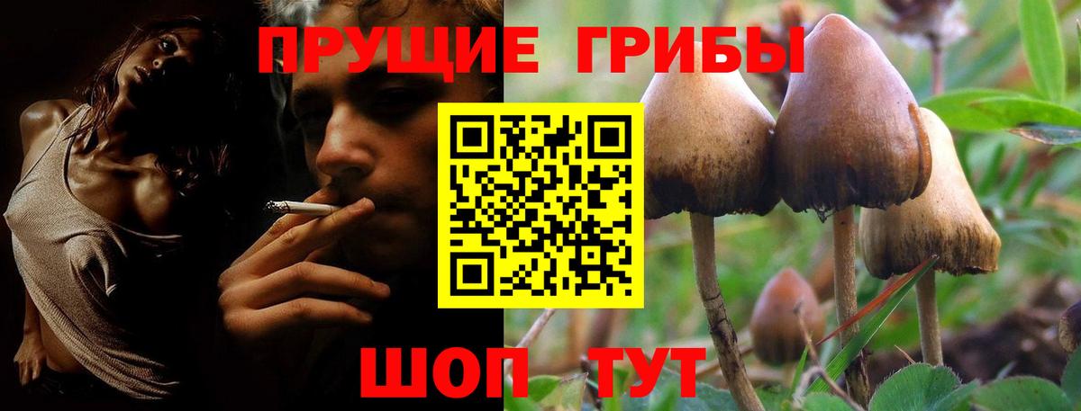 Северодвинск  Псилоцибиновые грибы Psilocybe  Галлюциногенные грибы мухоморы  Вход с VPN 